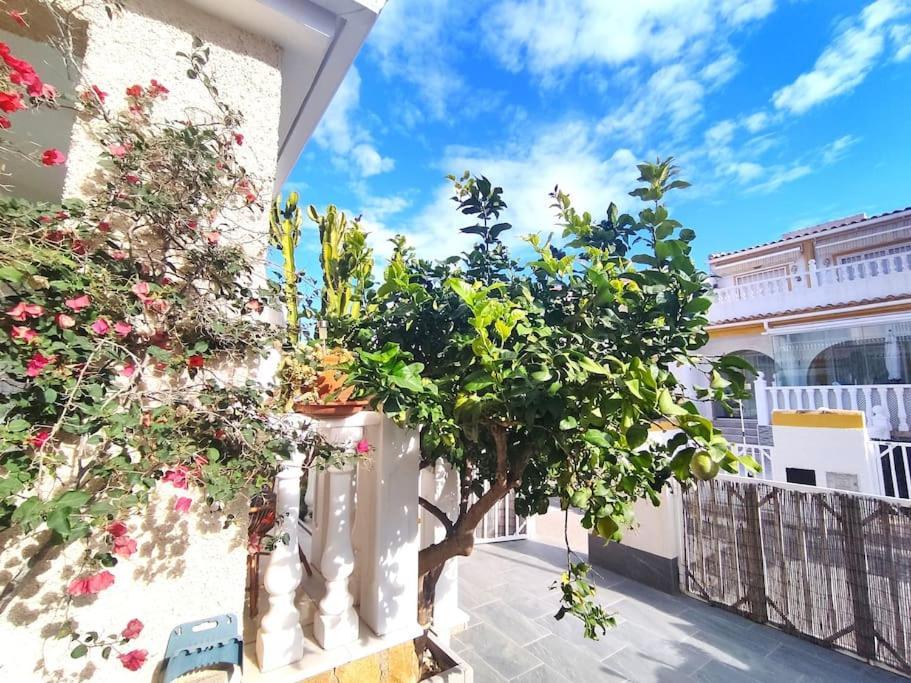 Rincon Mediterraneo Gran Alacant Exterior foto
